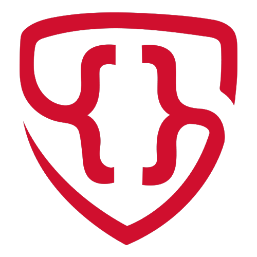 Codex-Websolution logo